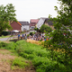Image for article titled Why Rallying in Europe Is So Much Easier Than in the U.S.